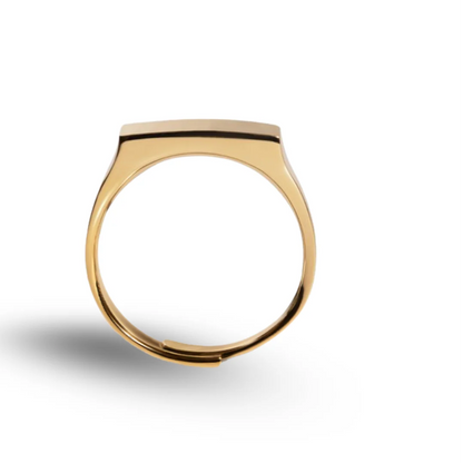 Adjustable 18k Silver & Gold Faith Projection Ring